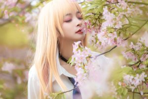 九九八吖沐浴阳光相伴盛开花海-一七天佳